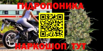 jwh Обнинск
