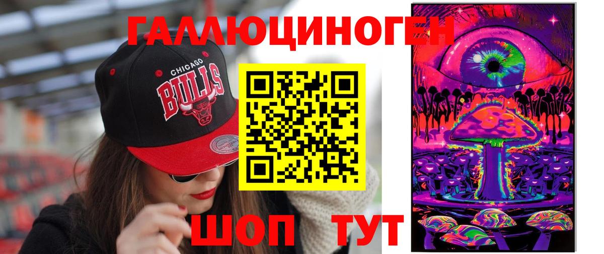 Псилоцибиновые грибы Psilocybe Черногорск